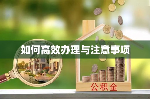 金堂如何高效办理与注意事项