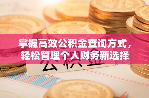 金堂掌握高效公积金查询方式，轻松管理个人财务新选择
