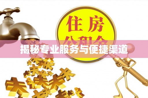 金堂揭秘专业服务与便捷渠道