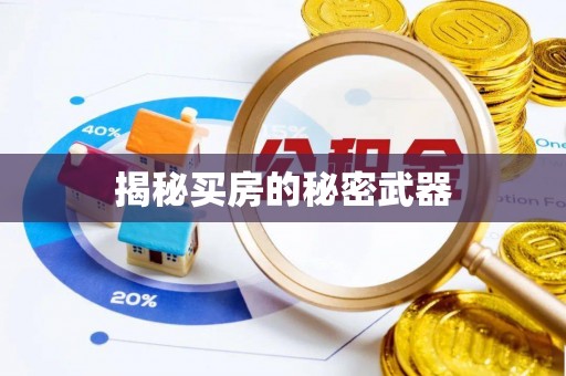 金堂揭秘买房的秘密武器