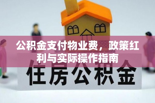 金堂公积金支付物业费，政策红利与实际操作指南