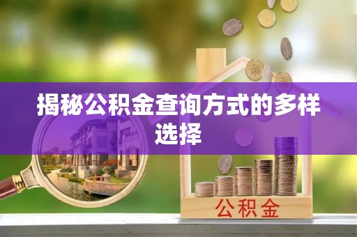金堂揭秘公积金查询方式的多样选择