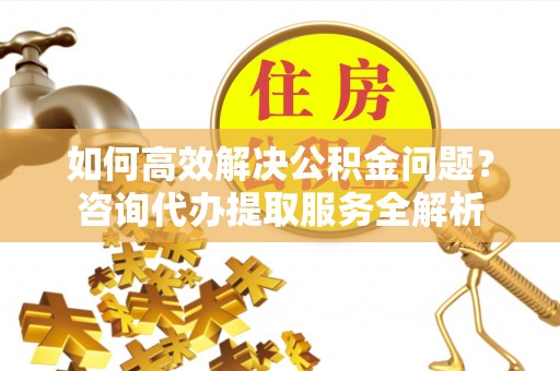 金堂如何高效解决公积金问题？咨询代办提取服务全解析