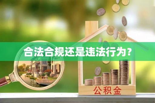 金堂合法合规还是违法行为？