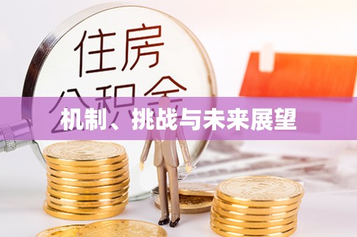 金堂机制、挑战与未来展望