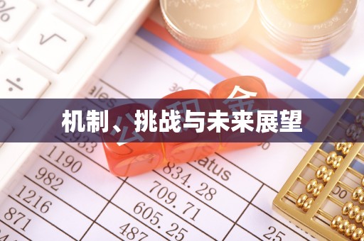 金堂机制、挑战与未来展望