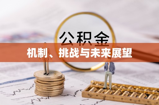 金堂机制、挑战与未来展望